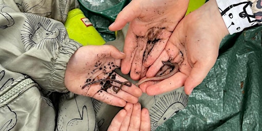 Wonderful worms family activity