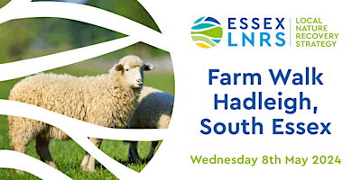 Imagem principal do evento Essex LNRS: Farm Walk, Hadleigh, South Essex
