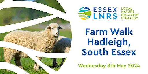 Imagen principal de Essex LNRS: Farm Walk Hadleigh, South Essex