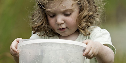 Nature Tots - Woolley Firs Maidenhead, Friday 3 May primary image