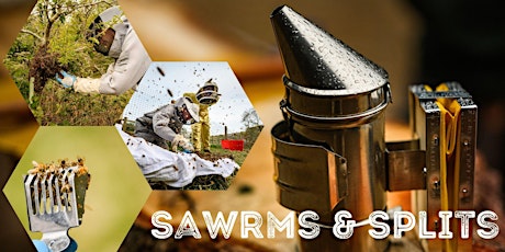 Hauptbild für Swarms and Splits a Practical Guide