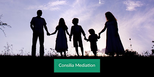 Hauptbild für Consilia Mediation DR Conference 2024