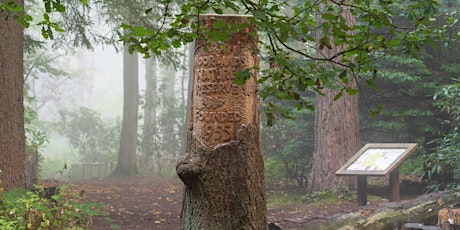 York City Nature Challenge - YWT Moorlands Reserve Walks