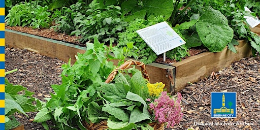 The Physic Garden - A Guided Walk primary image