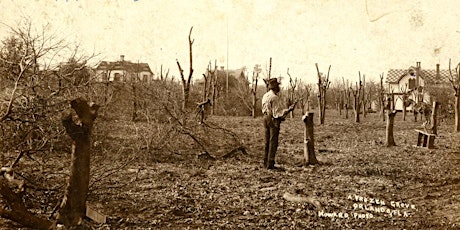 Arboriculture (FKA) Roots to Shoots (4-ISA CEUs),Horticulture 4-FDACS CEUs primary image