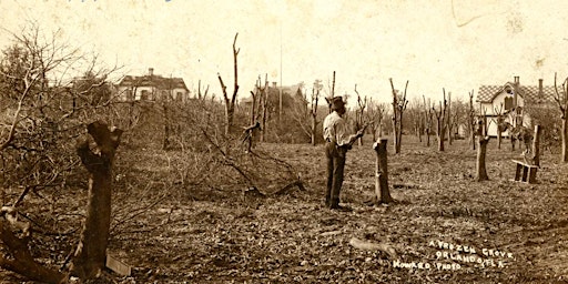 Imagem principal do evento Arboriculture (FKA) Roots to Shoots (4-ISA CEUs),Horticulture 4-FDACS CEUs