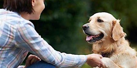 Primaire afbeelding van Pets for Mental Health  course