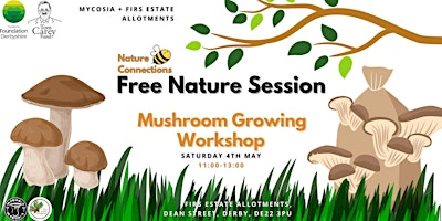 Immagine principale di Nature Connections - Mushroom Growing Workshop 