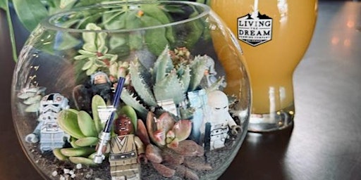 Imagem principal do evento Star Wars Terrarium Workshop