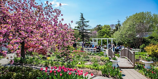 Hauptbild für AmeriCorps Seniors Ready, Set, Bloom into Volunteering Spring Fair