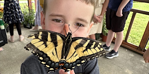 Interacting with Nature: Butterflies at the Butterfly Exhibit  primärbild