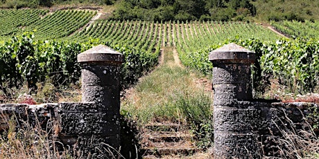 Wine Class - Burgundy primary image