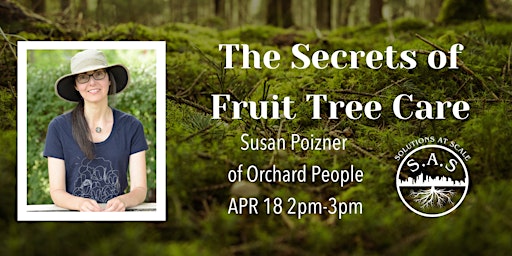 Imagen principal de Secrets of Fruit Tree Care