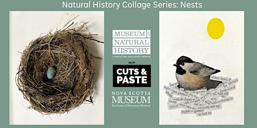 Primaire afbeelding van Natural History Collage Night  - Nests