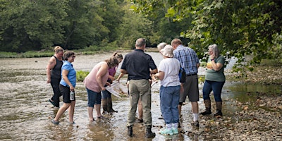 Soil & Water Quality in the Classroom