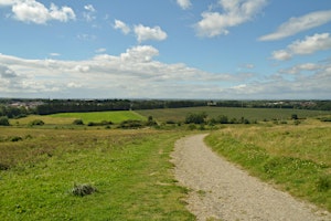 Weetslade guided walk primary image