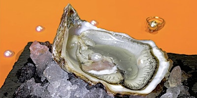 Oyster soirée primary image