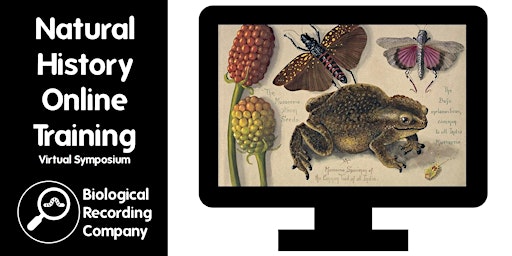 Image principale de Natural History Online Training Virtual Symposium