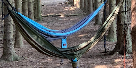 Interacting with Nature:  Hammock Hang