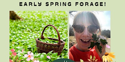 Imagen principal de Early Spring Woodland Forage