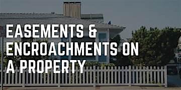 IN BRANCH - Trees, Walls, Encroachments & Easements - GREC #77436 primary image