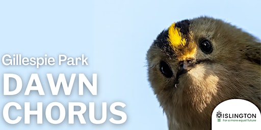 Dawn Chorus at Gillespie Park