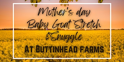 Image principale de Mother's day Stretch & Snuggle