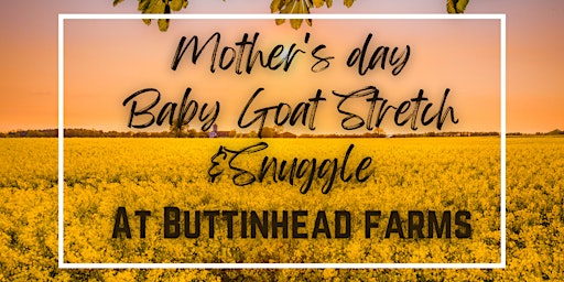 Imagem principal do evento Mother's day Stretch & Snuggle