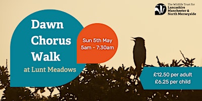 Primaire afbeelding van Dawn Chorus Walk at Lunt Meadows