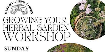 Image principale de Growing Your Herbal Garden Workshop