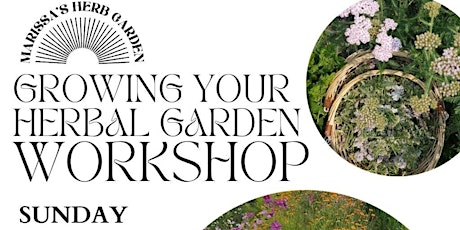 Growing Your Herbal Garden Workshop