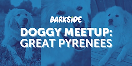 Doggy Meetup: Great Pyrenees