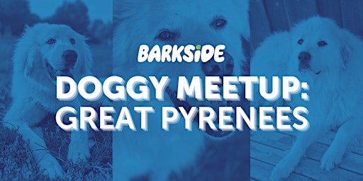 Doggy Meetup: Great Pyrenees primary image