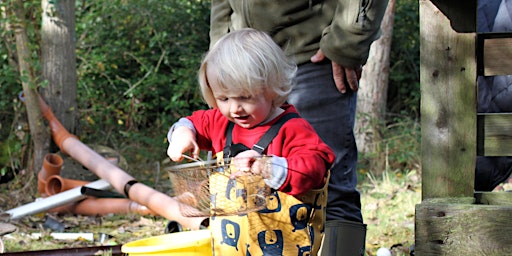 Abbotts Hall Nature Tots & Babies primary image