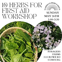 10 Herbs for First Aid primary image