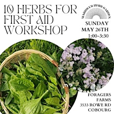 10 Herbs for First Aid