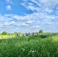 Spring 2024 Harry S. Moss Park Trail Hike primary image