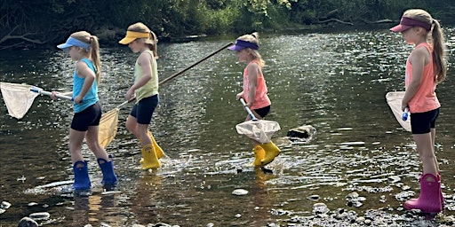 Imagem principal de Interacting with Nature: River Study, Session 2