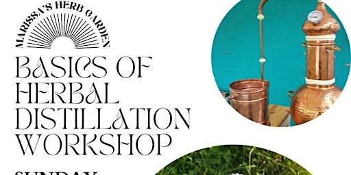 Imagem principal do evento Basics of Herbal Distillation Workshop