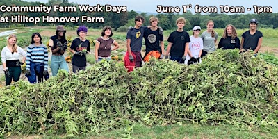 Primaire afbeelding van June's Community Farm Work Day