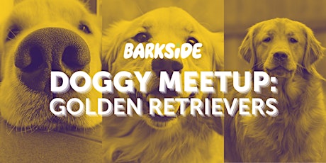 Doggy Meetup: Golden Retrievers