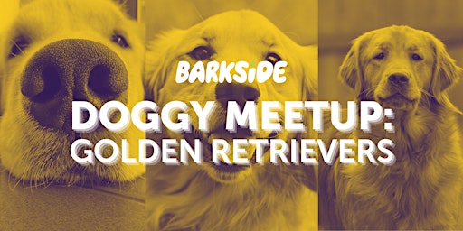 Doggy Meetup: Golden Retrievers primary image