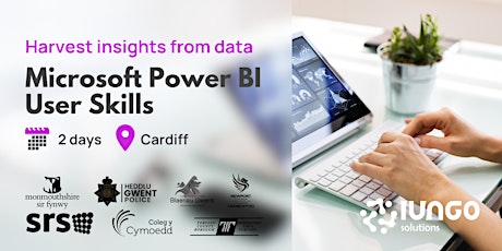 Microsoft Power BI User Skills Training