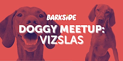 Imagem principal do evento Doggy Meetup: Vizslas