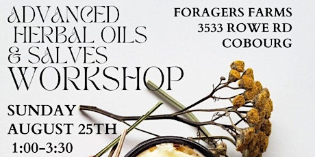 Advanced Herbal Oils & Salves Workshop