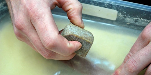 Primaire afbeelding van Introduction to Soapstone Carving for Seniors