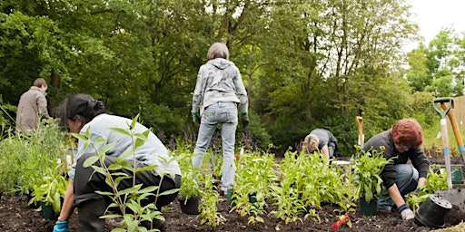 Imagem principal do evento Managing green spaces workshop - Reading, Sat 11 May