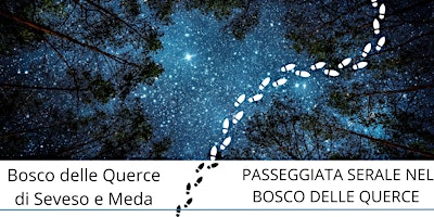 Immagine principale di Passeggiata serale nel Bosco delle Querce 