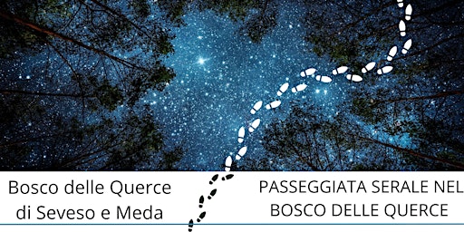 Immagine principale di Passeggiata serale nel Bosco delle Querce 