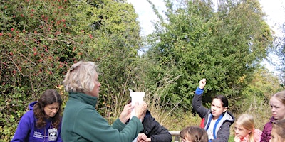 Primaire afbeelding van Young Rangers Day Camp: Zoologist Day at Sutton Courtenay, Wednesday 14 August